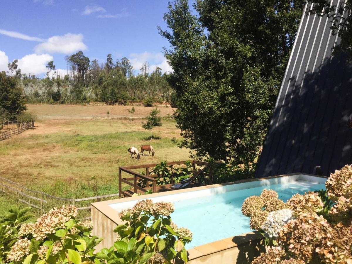 Vale Da Silva Villas - Quinta Albergaria-a-Velha Extérieur photo
